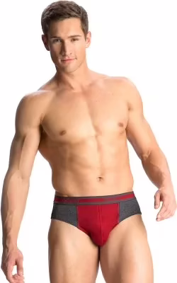 Special Offer Value Pack of 2 Regular Fit Brief