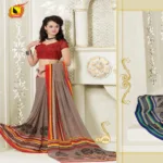 Maira Multi Pure Weight Lace Saree