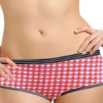 Best Fitting Women Printed Hipster Panties