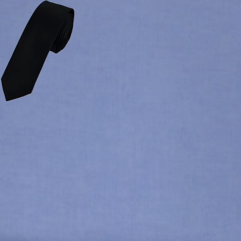 Raymond Plain Purple Shirting Fabric Free Tie