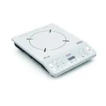 Padmini Induction Cooking System Pride