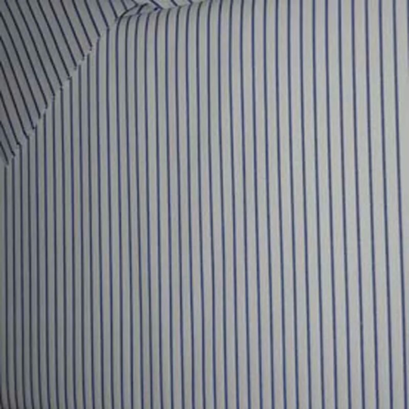 Raymond White With Blue Broad Linning Shirting Fabric
