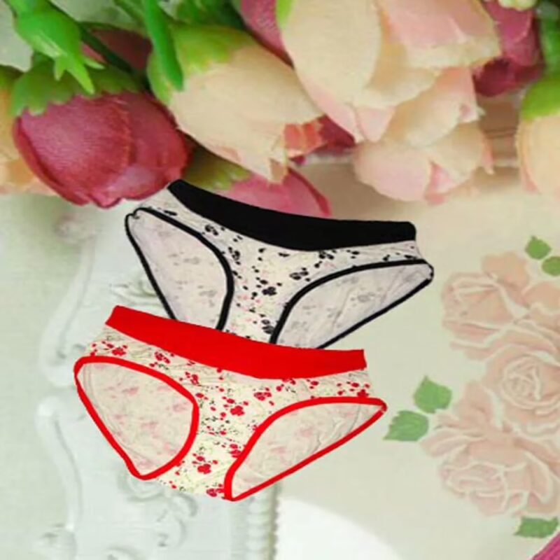 Combo Pack of 2 Floral Print Brief Panties