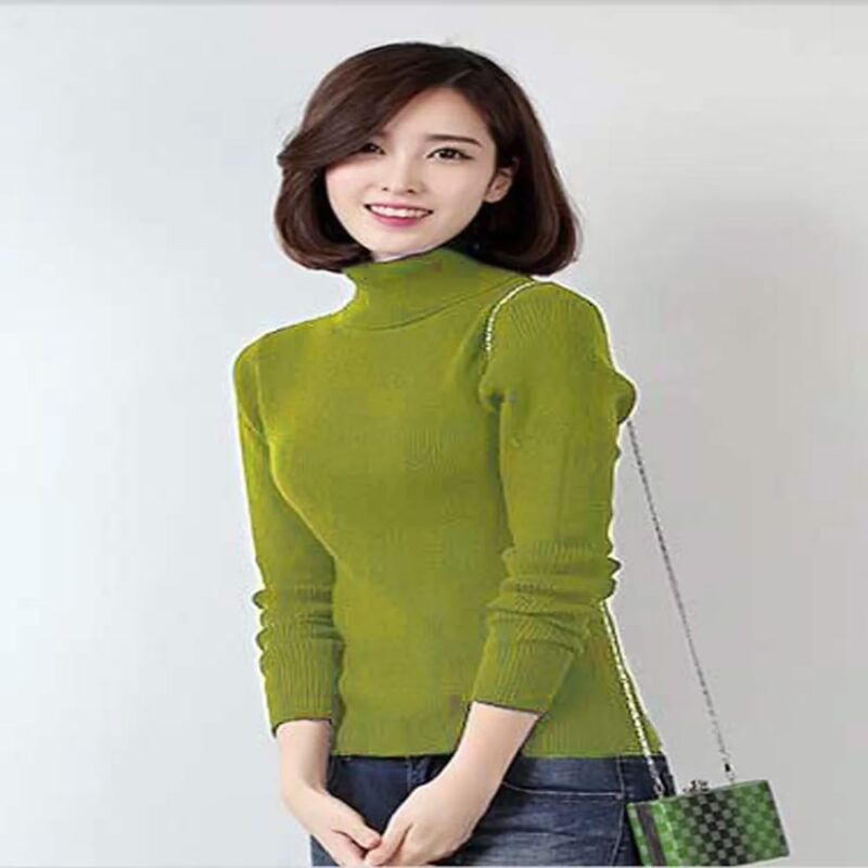 Cool Light Green Autumn Winter High Necked Skiwi Sweater