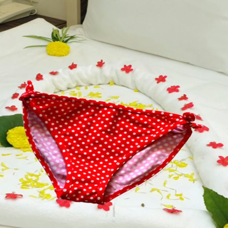 Divine Red Polka Dot Bikini Side Knot Brief Size XS-S