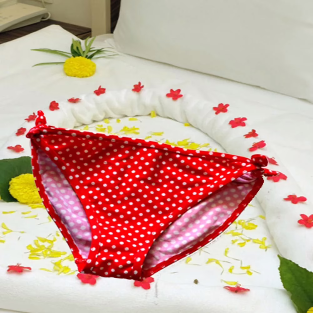 Divine Red Polka Dot Bikini Side Knot Brief Size XS-S