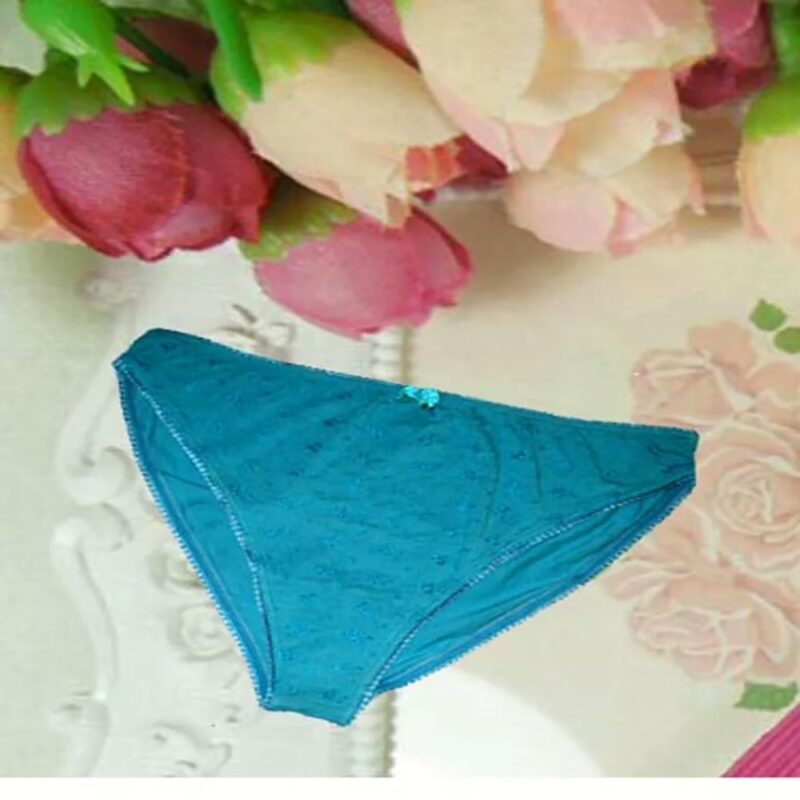 Lace Trim Edges Embroidered Cotton Panties
