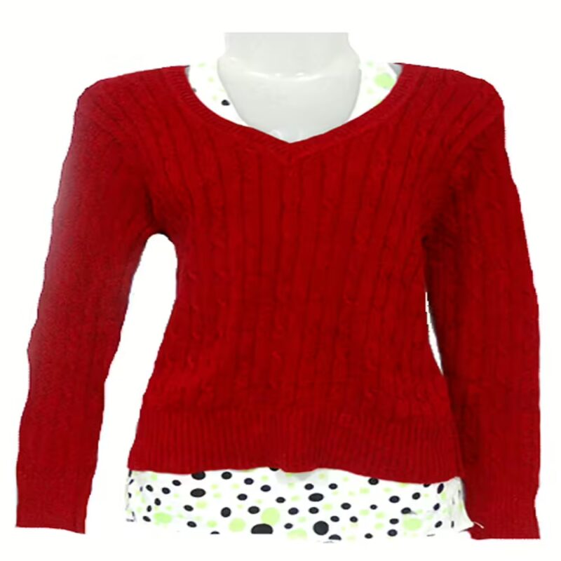 Sporty Maroon Women Pullover