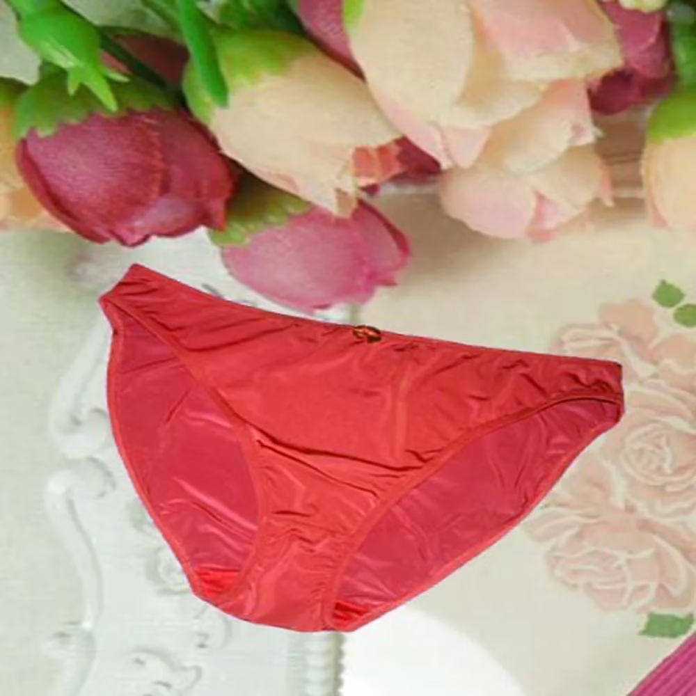 Plain Smooth Shimmering Hipster Brief Panties