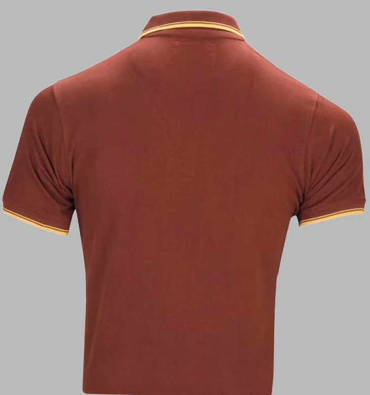 Rampwaq-Brown Solid Polo Tshirt - Image 2