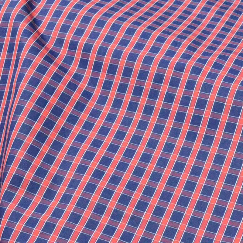 Raymond Blue & Red Check Shirting Fabric