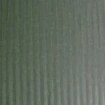 Raymond -Green With Linning Shirt Fabric