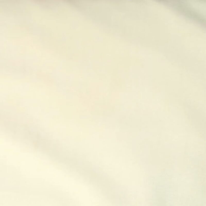 Raymond - Light Cream Plain Shirting Fabric