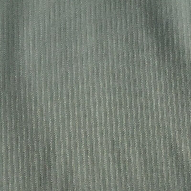 Raymond Light Green Self Linning Shirting Fabric