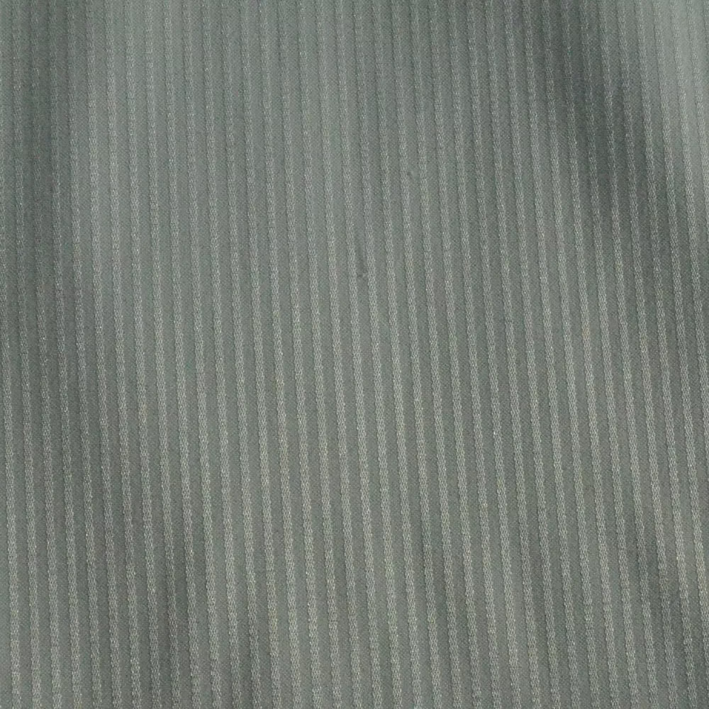 Raymond Light Green Self Linning Shirting Fabric
