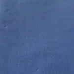Raymond Maker Light Blue Shirting Fabric