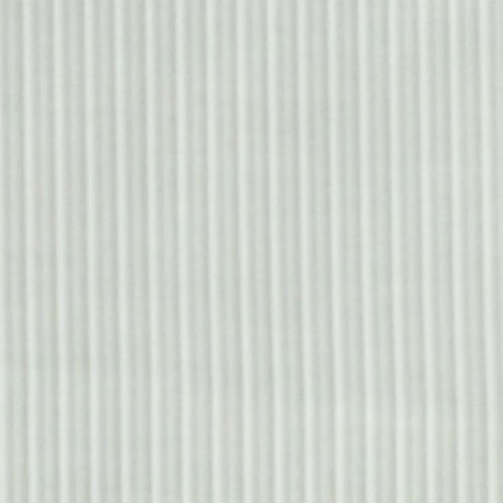 Raymond-Narrow Double Lining Shirt Fabric