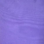 Raymond -Plain Dark Purple Shirting Fabric