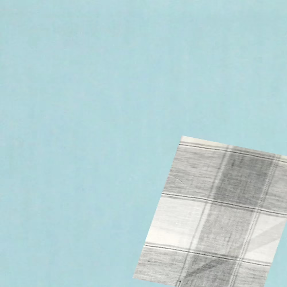Raymond Sensational Offer Shirting Fabric