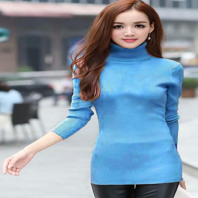 Sky Blue Autumn High Necked Skiwi Sweater