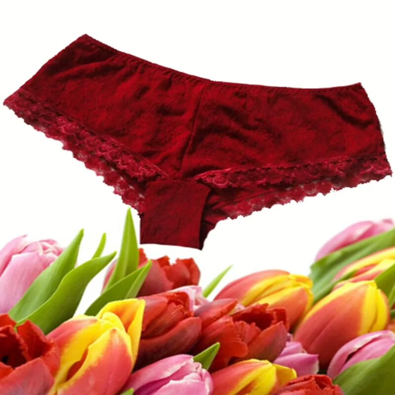 Stylish Maroon Double Net Lace Edge Elastic Waist French Knicker Short
