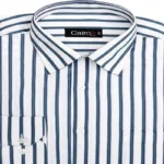 CAIRON GREEN STRIPE EXECUTIVE FORMAL SHIRT