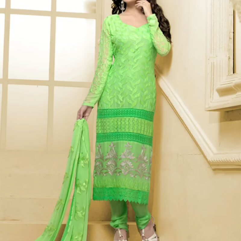 VandV Long Parrot Karachi Work Designer Salwar Suits