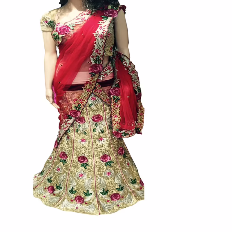Viva N Diva Beige And Red Colored Net And Art Silk Saree