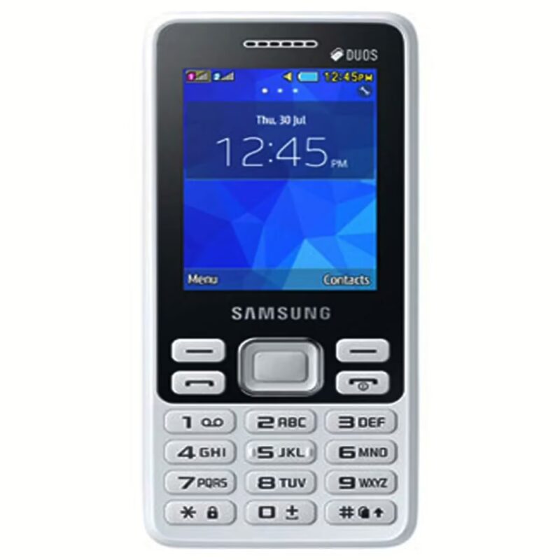 Samsung Metro 350 (White)