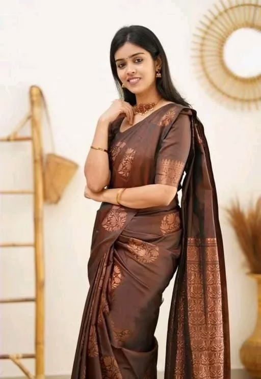 Charvi Drishya Brown Banarasi Silk Sarees
