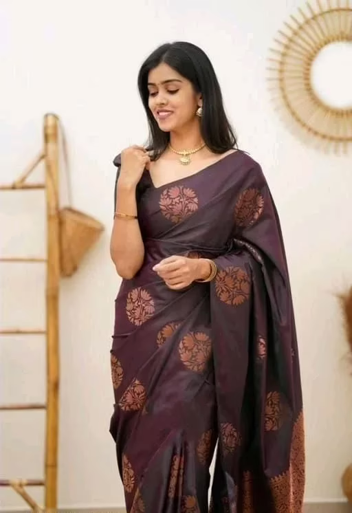 Charvi Drishya Multi Banarasi Silk Sarees