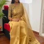 Tissue Tassels and Latkans Saree With Blouse