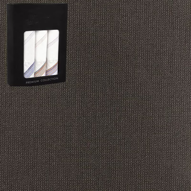 Raymond Men Poly Blended Trouser Fabric Brown Free Handkerchief