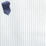 Raymond Men Poly Blended Shirting Fabric White Free Tie