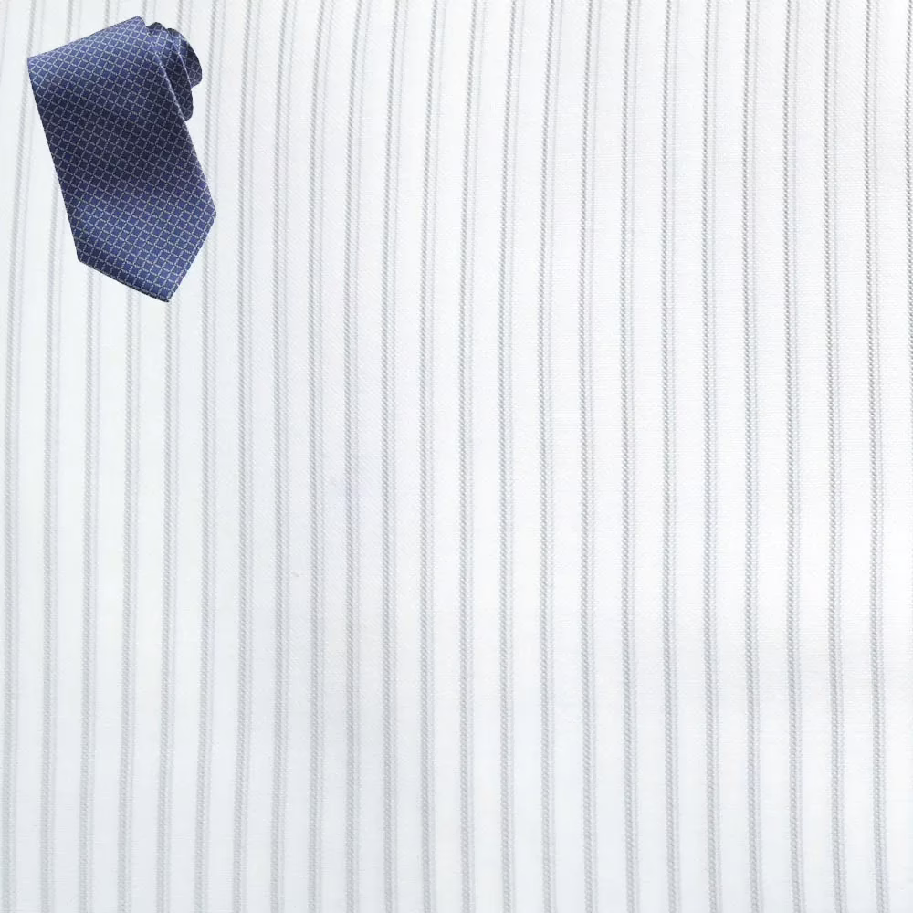 Raymond Men Poly Blended Shirting Fabric White Free Tie