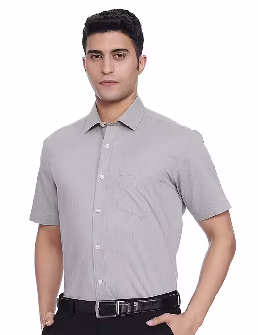 Grey Men Half Sleeve Regular Fit Formal Shirt
