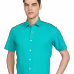 Aqua Green Men Half Sleeve Regular Fit Formal Shirt
